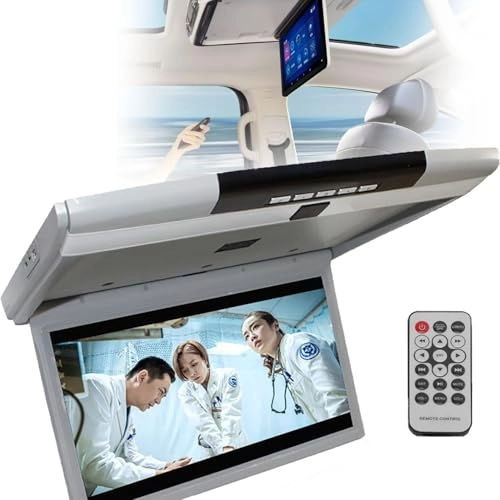 MP5 Ceiling Display - 17.3 Inch