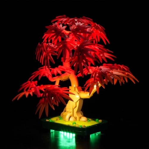 10348 Japanese Red Maple Bonsai Tree - Light Control Lighting Kit