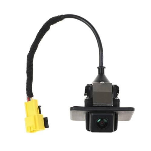 Reversing Camera - Night vision