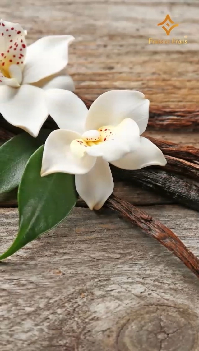 Victory Eau de Parfum 100ml