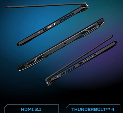 Predator Helios 300 - 15.6'' Core i7-11800H 32GB DDR4 2TB PCIe SSD 1TB HDD