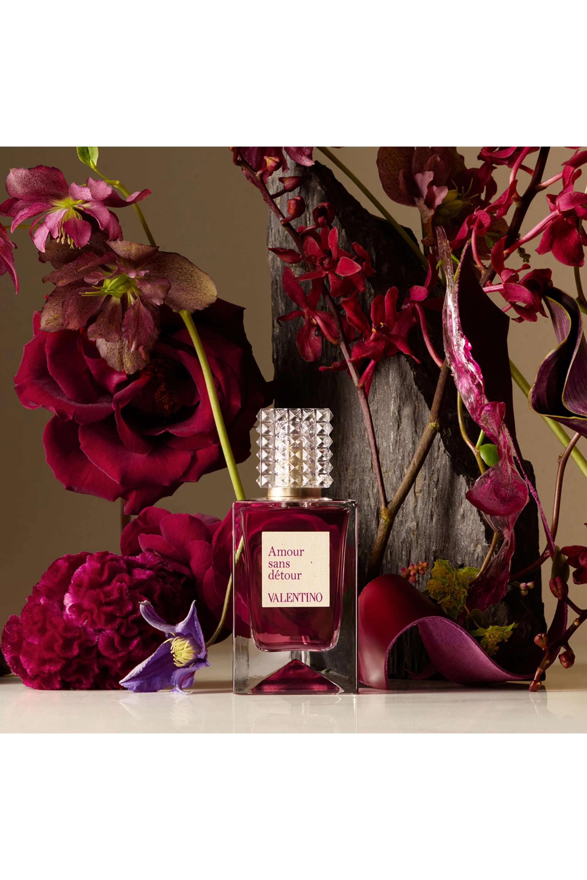 Anatomy of Dreams Eau de Parfum - 100ml