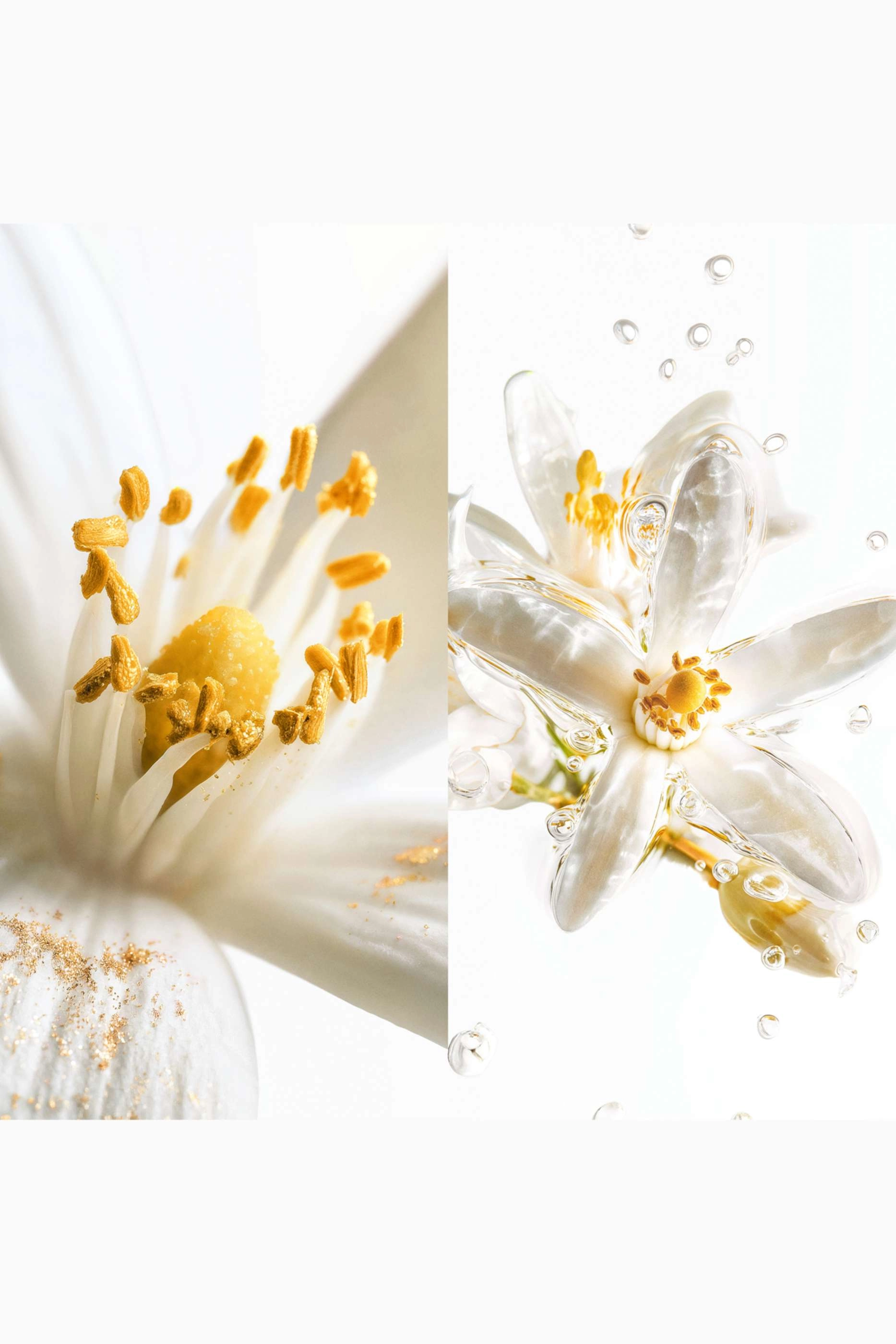 Blaze of Stillness Eau de Parfum - 30ml