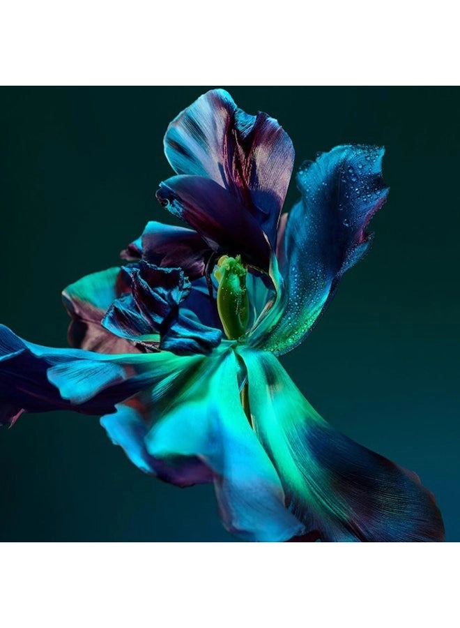 Orange Mauresque Eau de Parfum 100ml