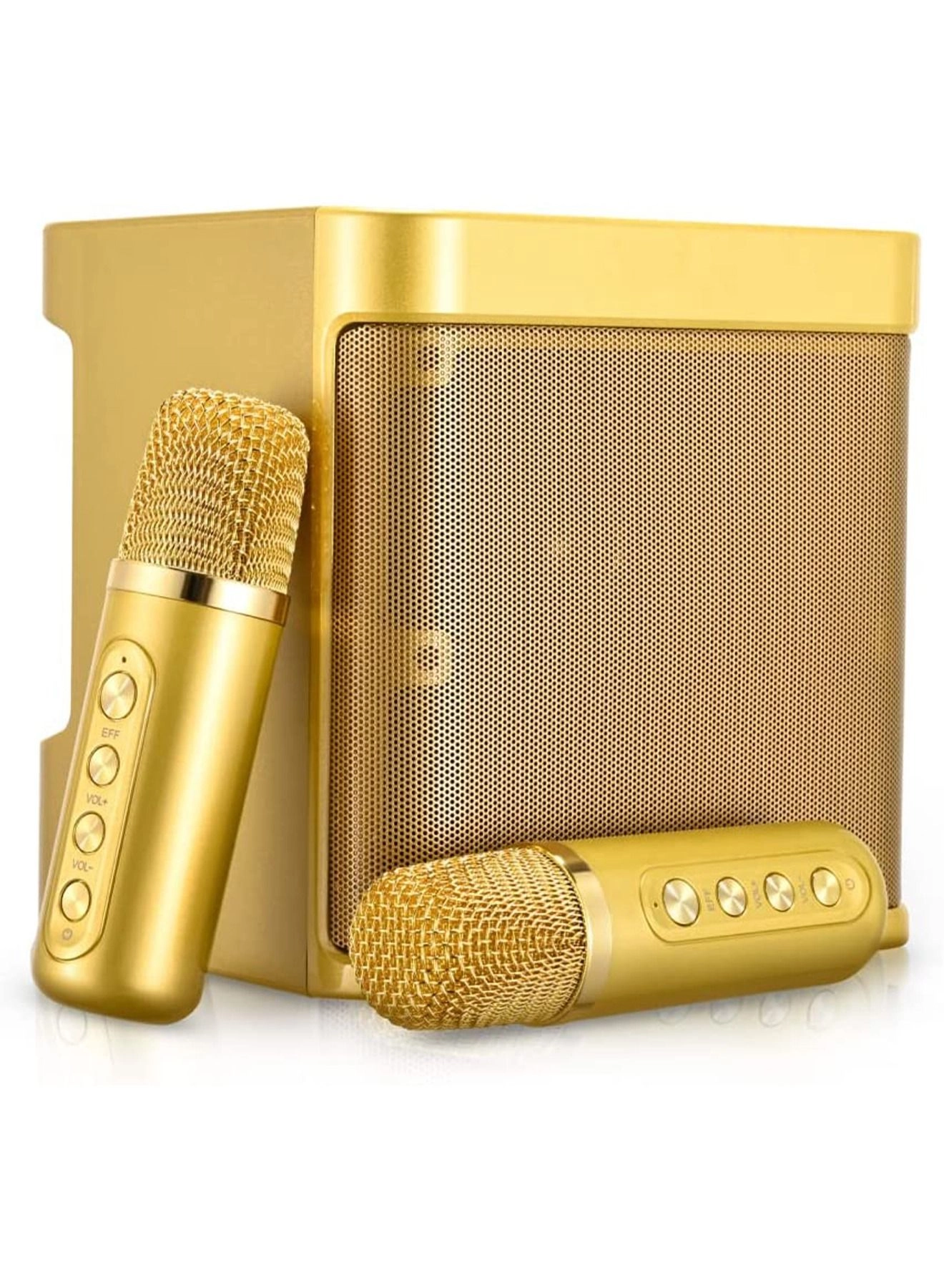 Portable Wireless Karaoke Microphone - two Y21 microphones