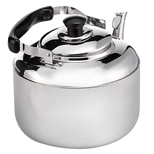 Stovetop Induction Whistling Kettle - 5L
