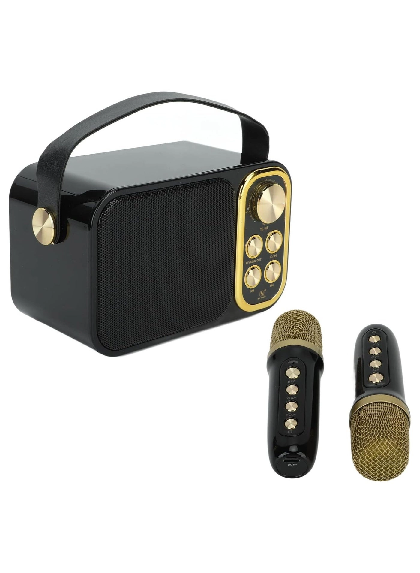 Outdoor Party Vocal Machine - 2 microphones