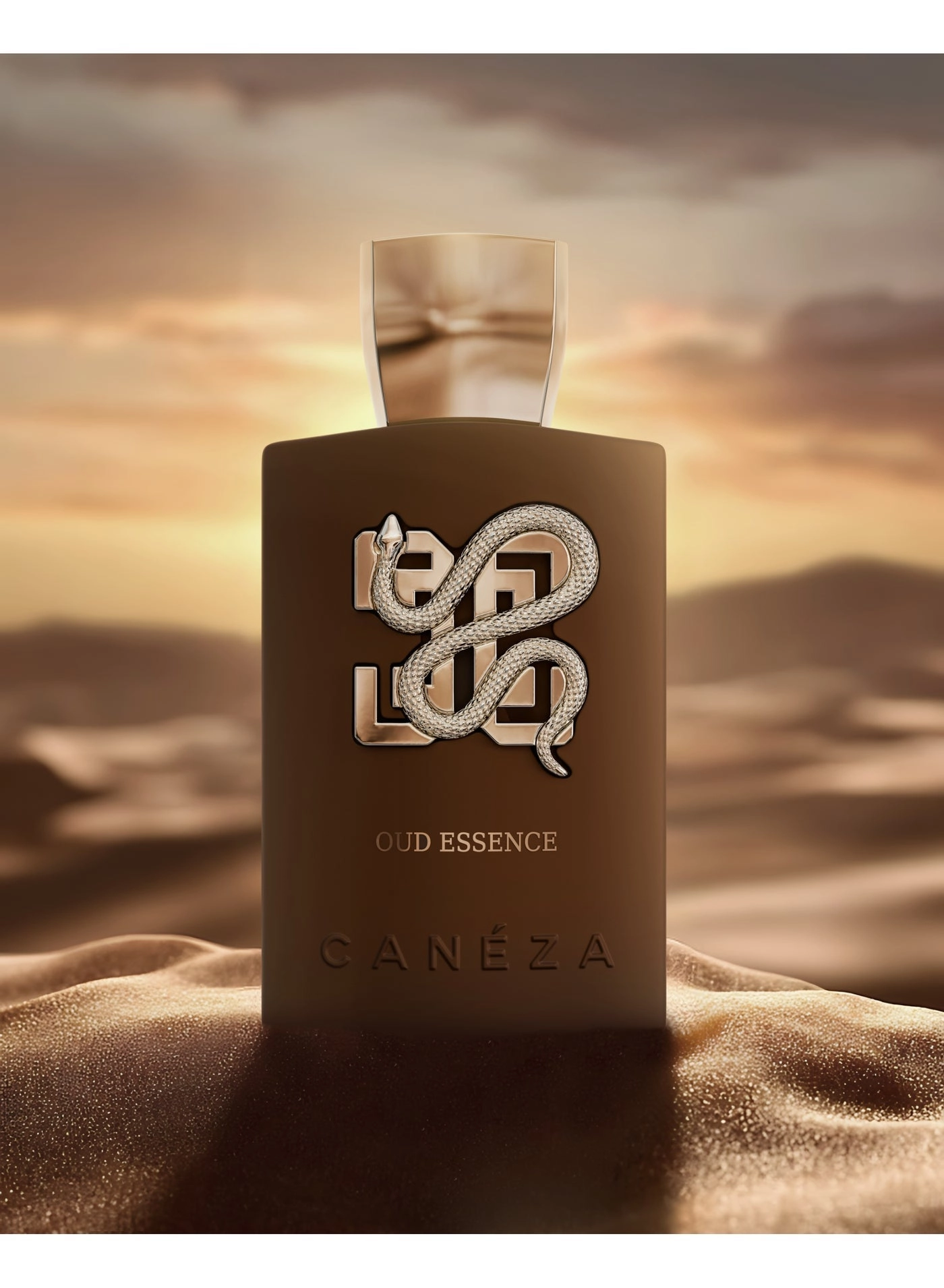 Oud Essence Eau de Parfum 100ml