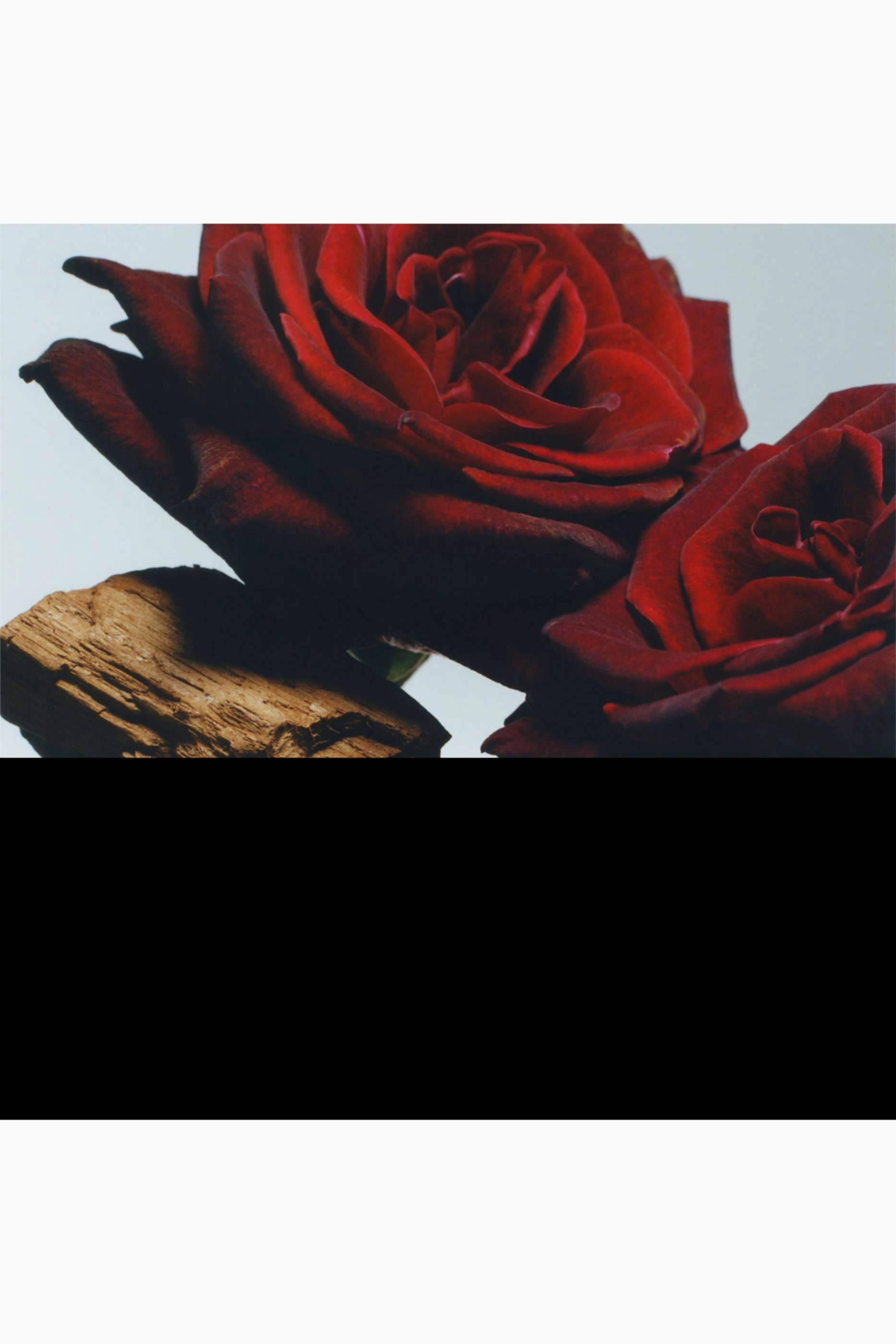 Velvet Rose & Oud - 125ml