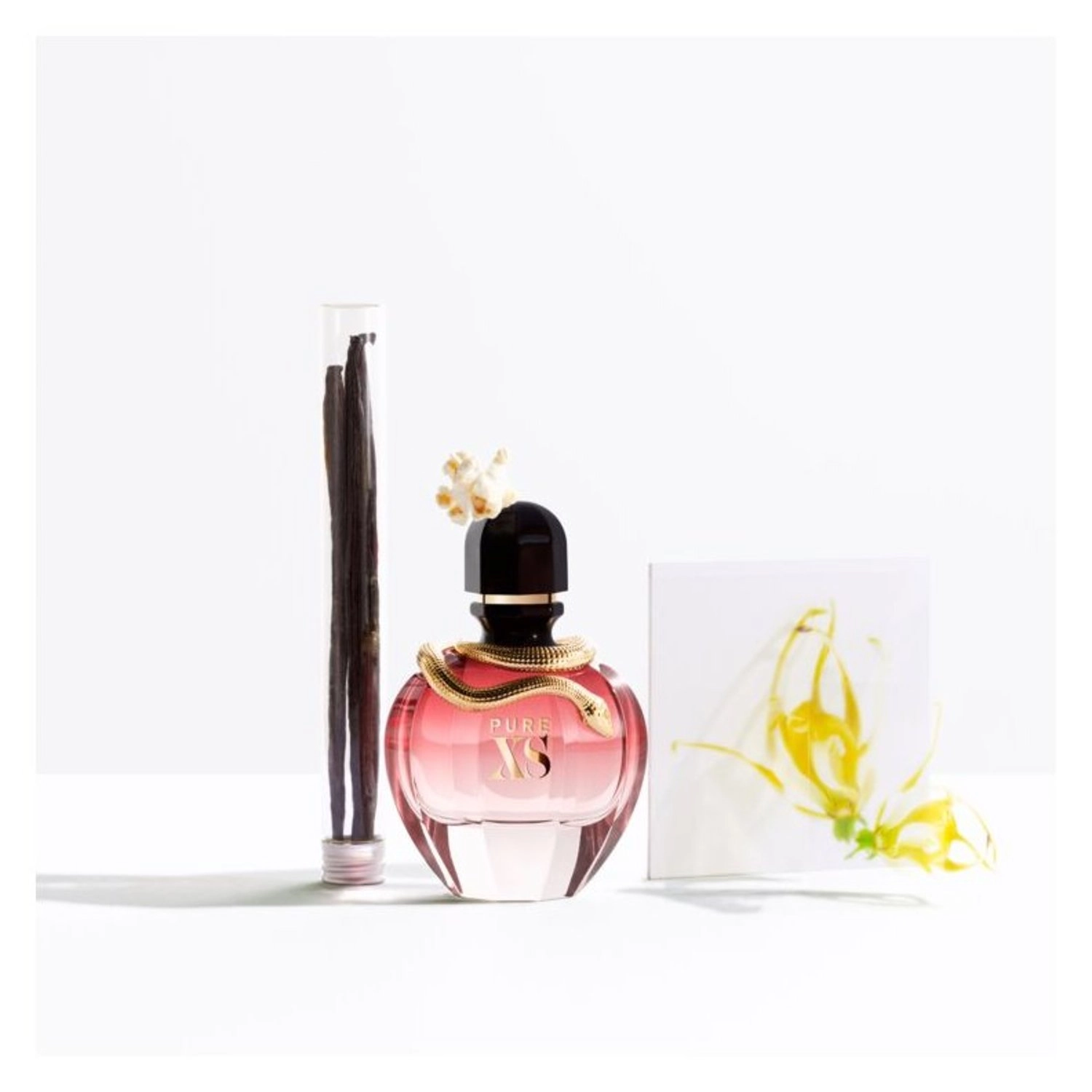 Pure XS Eau de Parfum - 50ml