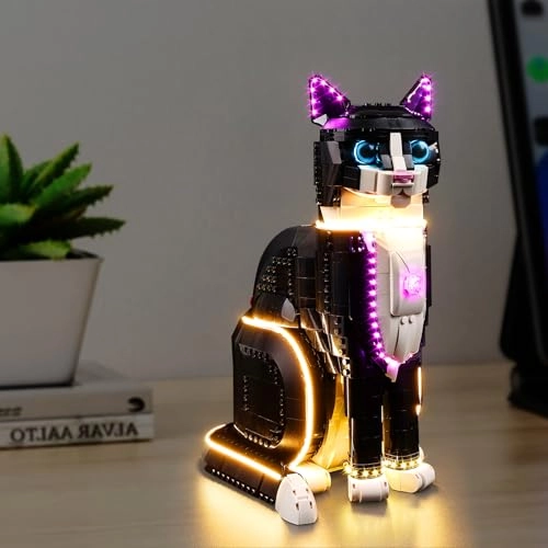 LED Lighting Kit for LEGO 21349