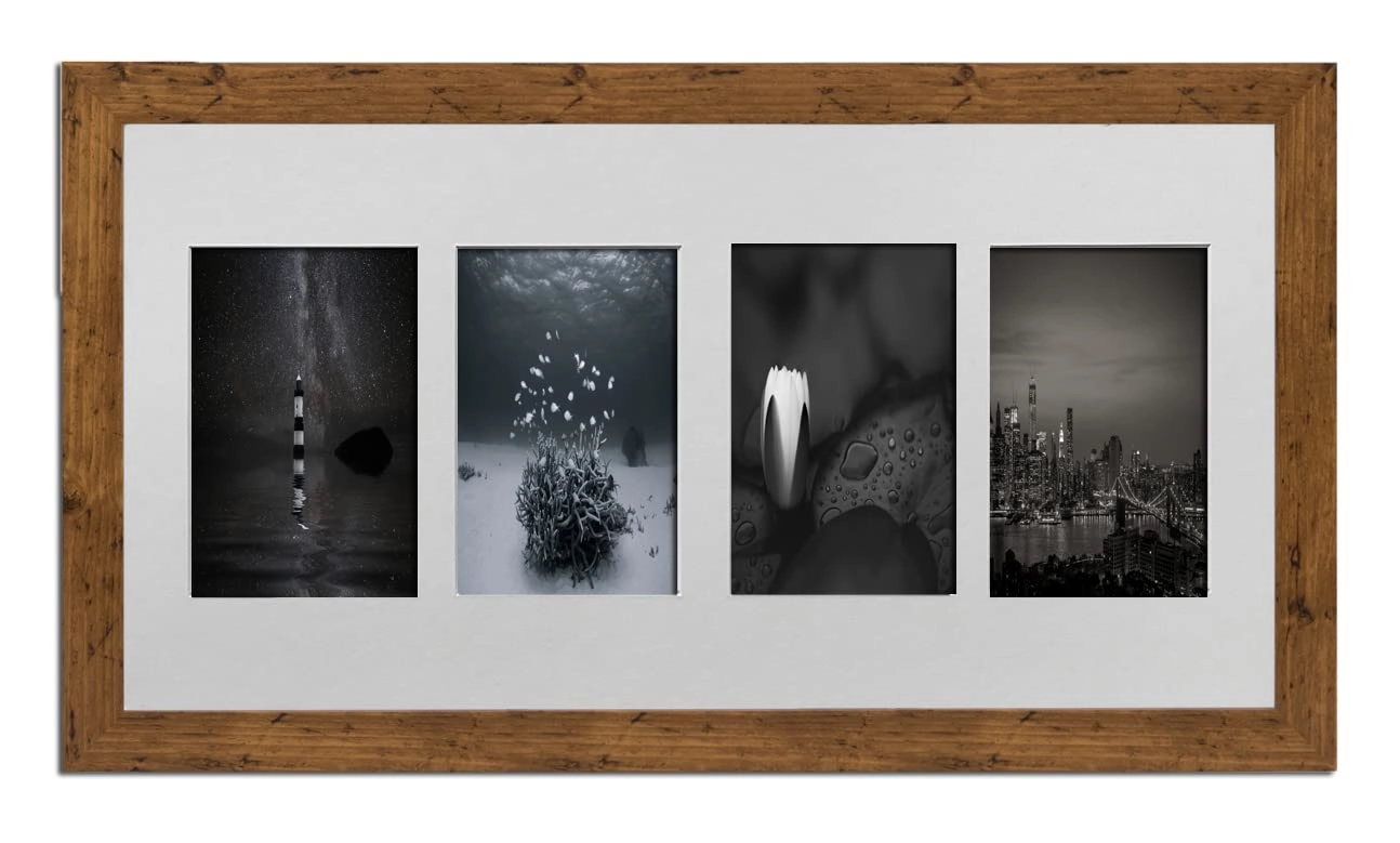 Multi Aperture Picture Frame - 20x10 4x