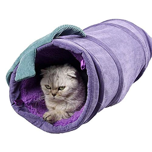 Cat Tunnel