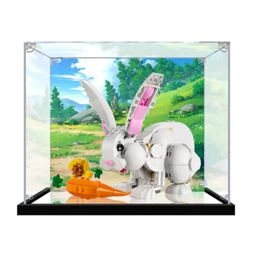 Figures Display Box - LEGO