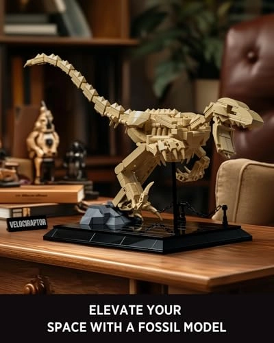 Velociraptor Fossil Model - Dinosaur Skeleton Display Base