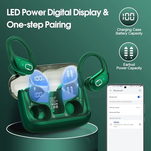 HD65 Wireless Earbud