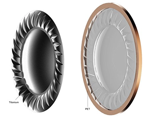 iBFree Wireless Earphone