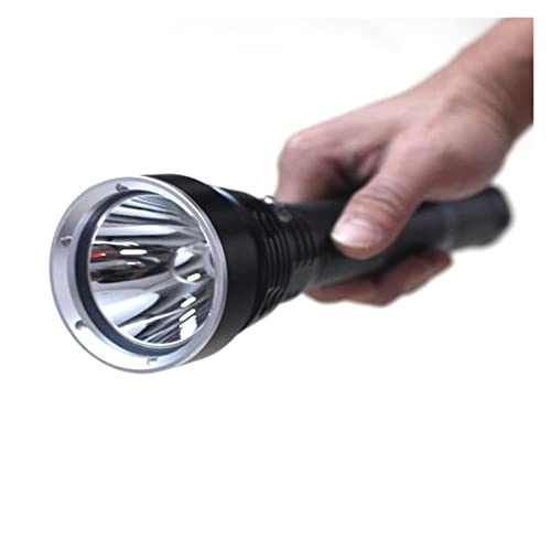 Professional Submersible Light