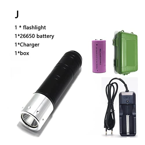 Professional Submersible Light - 4000 Lumens IPX8