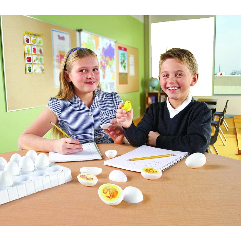 Chick Life Cycle Exploration Set - Suitable for 5 years & above