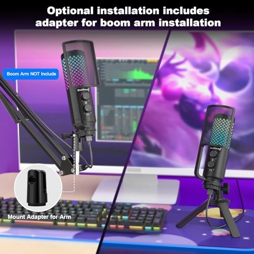 bd2-eu USB Microphone