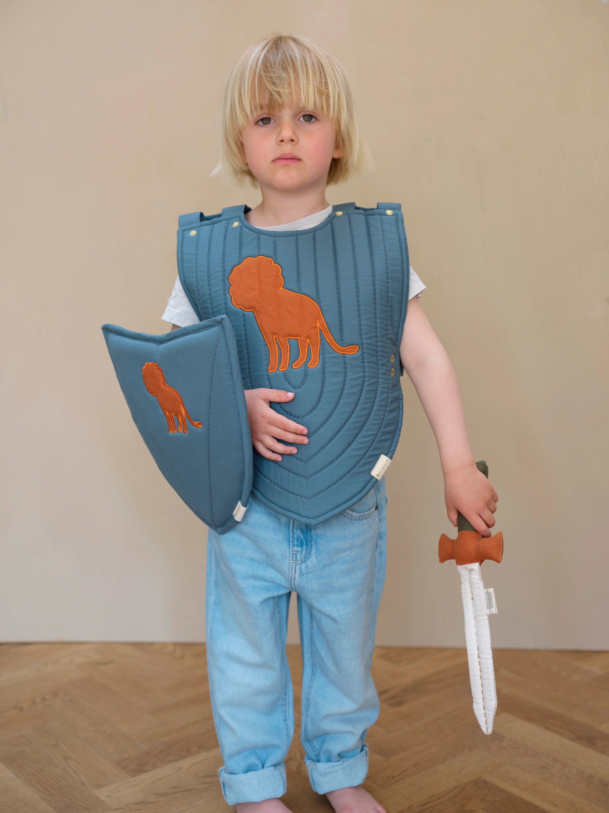 Knight Armour Lion Set - 13 x 27 cm Lion 3pcs Suitable for 3-6 years 32 x 42 x 2 cm