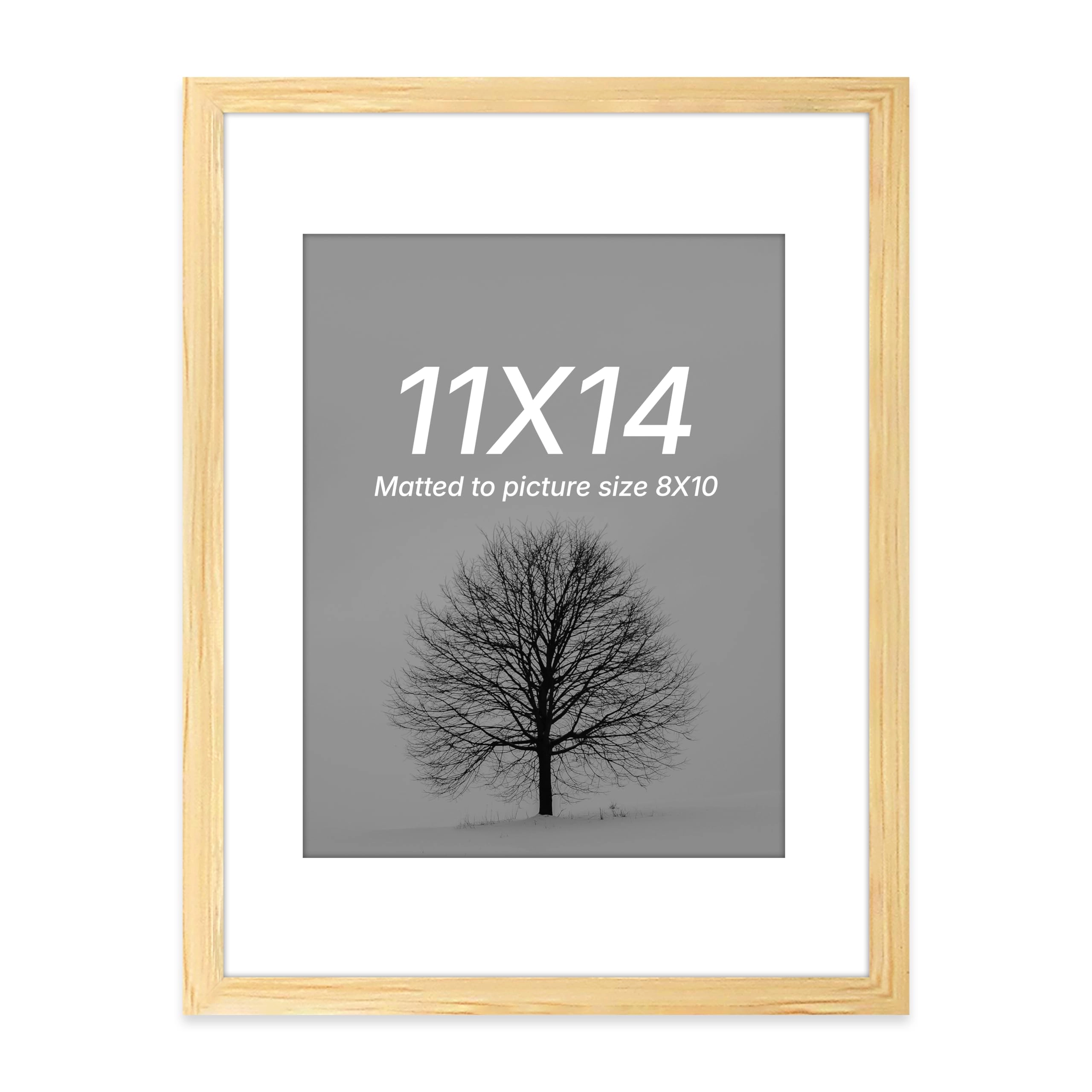 Document Frame - 11x14 Inch