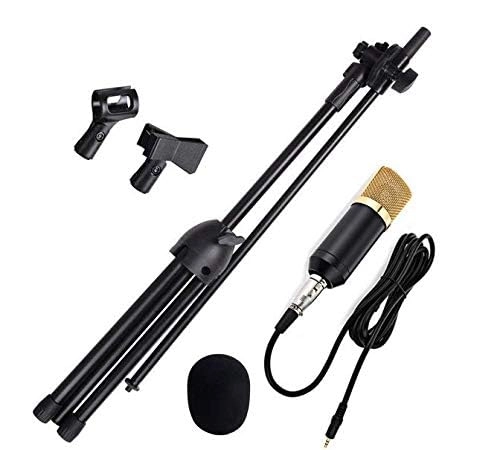 BM-700 - Handheld Condenser Microphone Stand