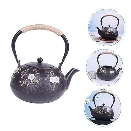 Cast Iron Teapot