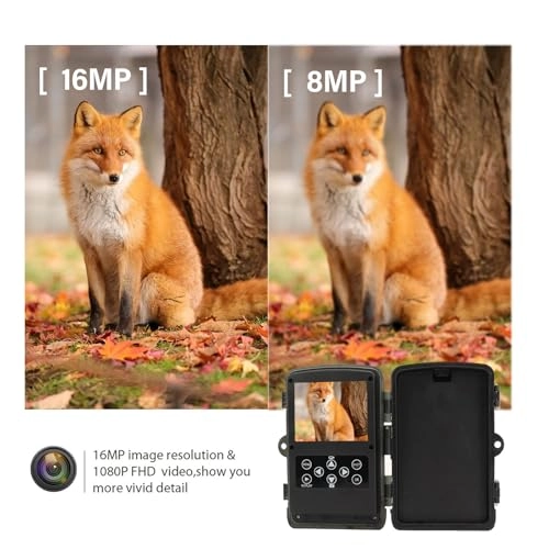 Trail Camera - 24MP
