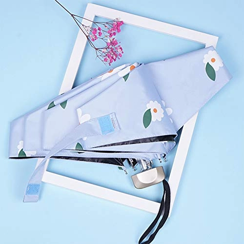 Light Emitting Diode Strip - 50CM 1M 2M 3M 4M 5M