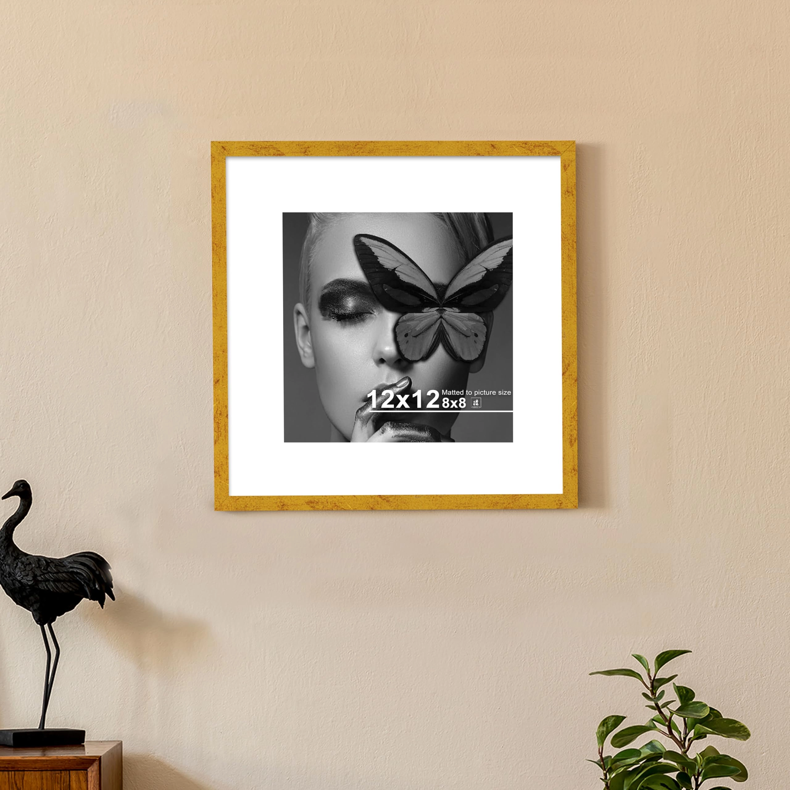 Document Frame