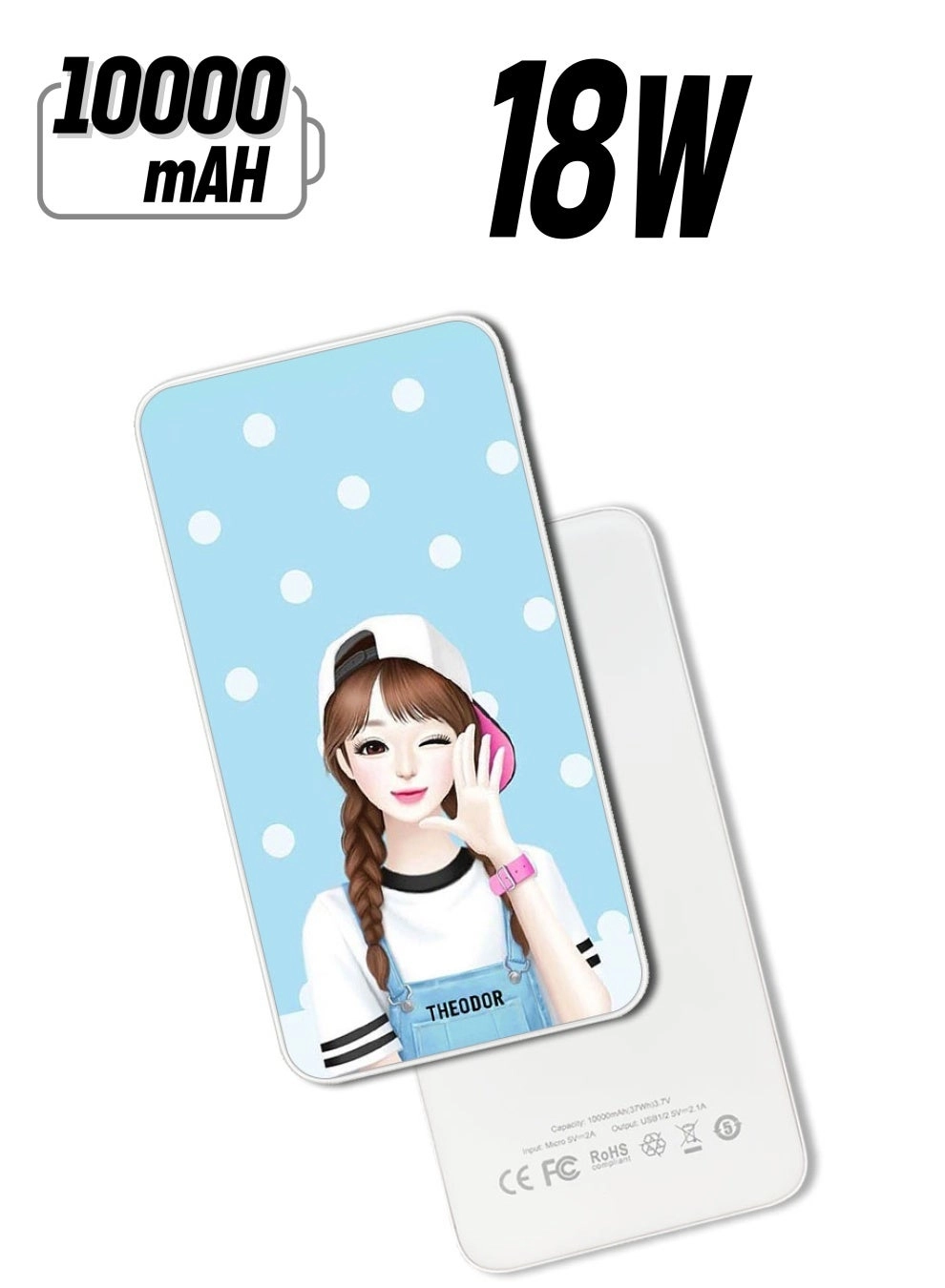 Theodor PPBA208 - 10000 Watt-hour 18W