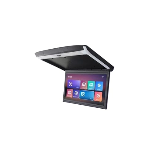 Car Roof Monitor - 12.5 inch