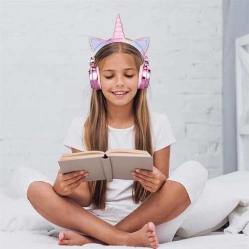 HH1023 Wireless Headphone