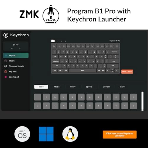 B1 Pro - DE Wired/Wireless