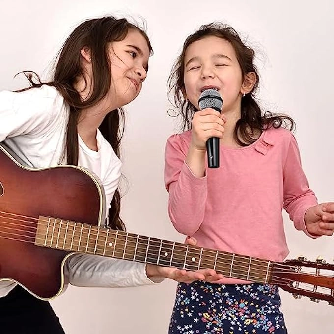 SIMULATION MICROPHONE