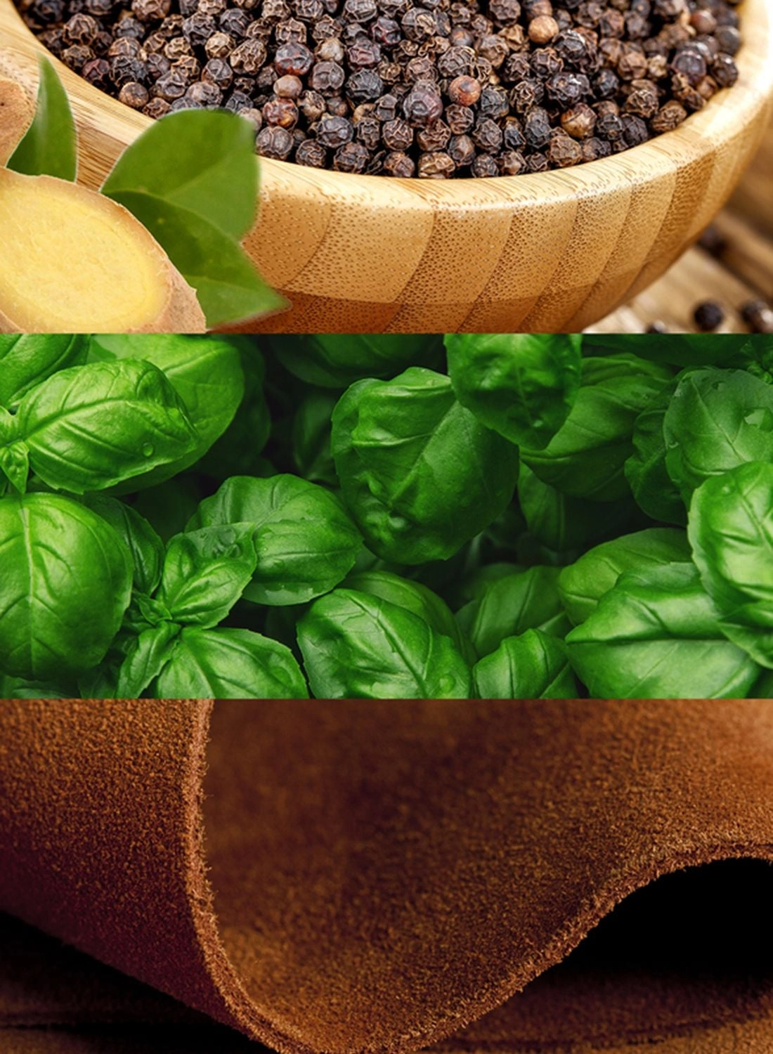 Euphoria Eau de Toilette 100ml