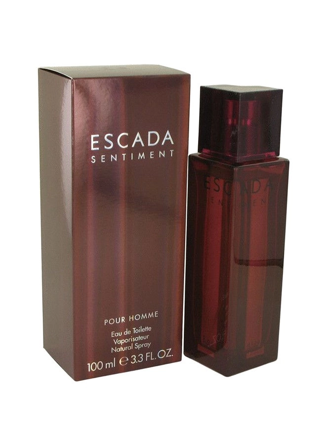 Sentiment Eau de Toilette 100ml