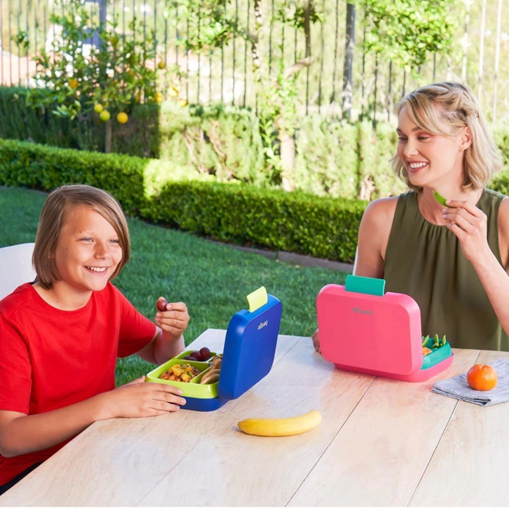 Pop Lunch Box - Bright Coral/Teal 5 cups