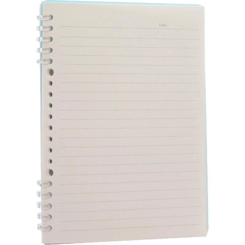 Notebook 19 X 26 cm Spiral - Grid 100 Sheets