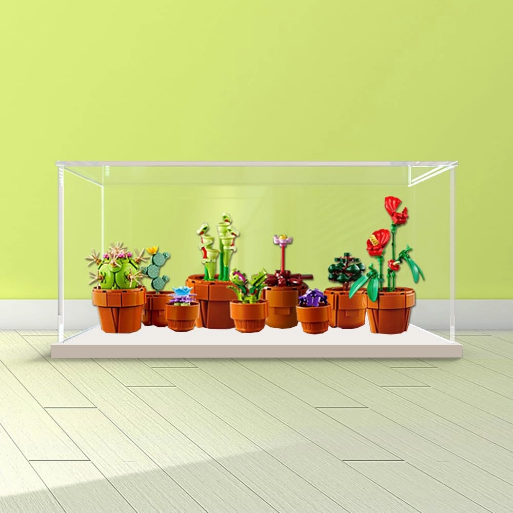 Acrylic Display Case