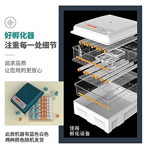 Egg Incubator - 48 Eggs Fully Automatic