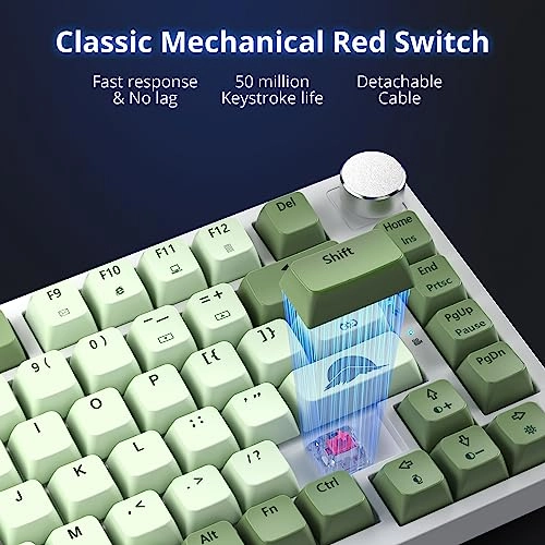 75% Mechanical Keyboard - EN Wired/Wireless