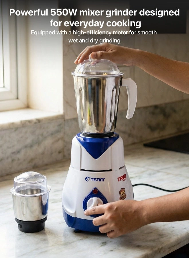 Mixer Grinder - 550W