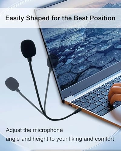 Type C Gooseneck USB Microphone