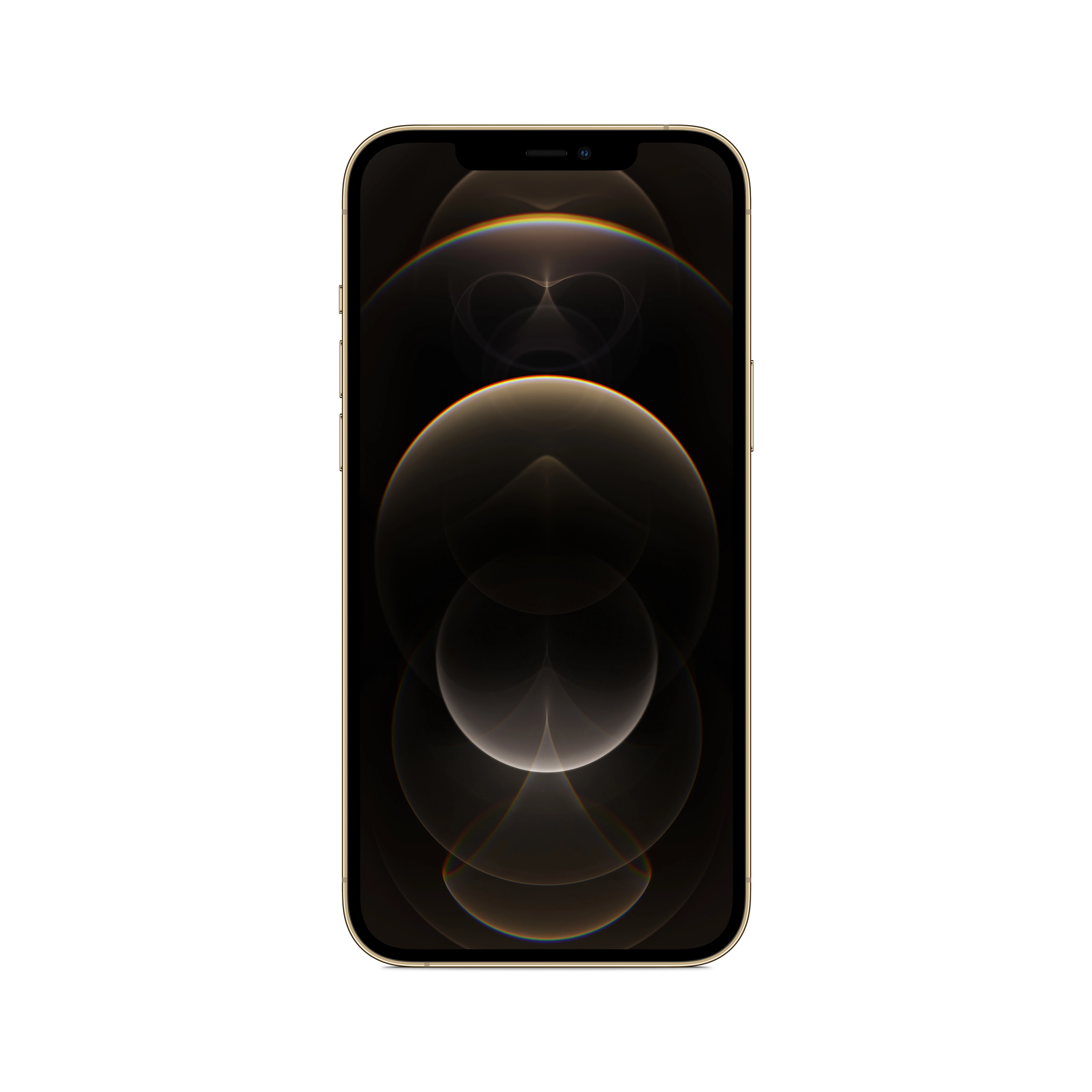 (Renewed) iPhone 12 Pro - 256GB