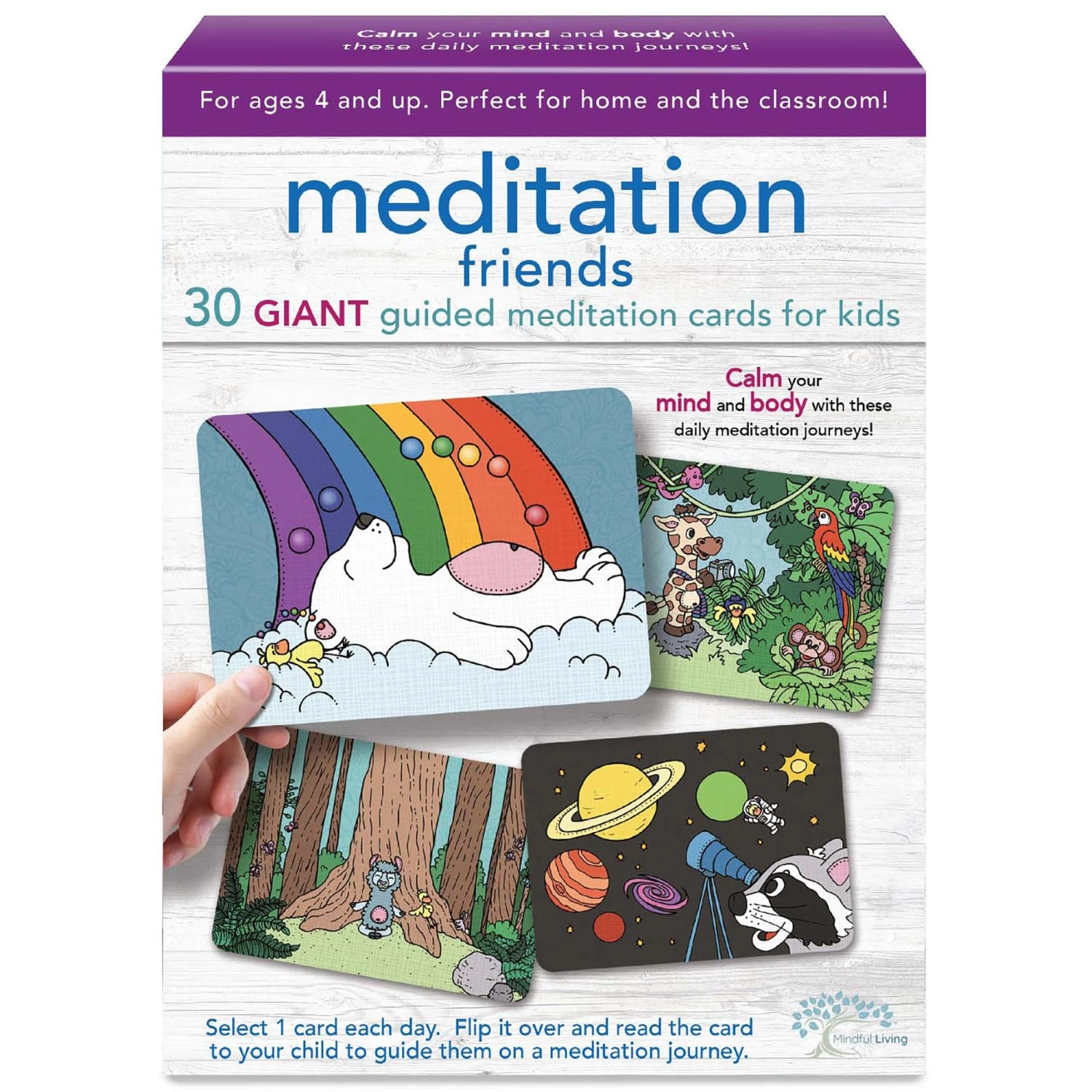 Ambassador Mindful Living - Meditation Friends Cards