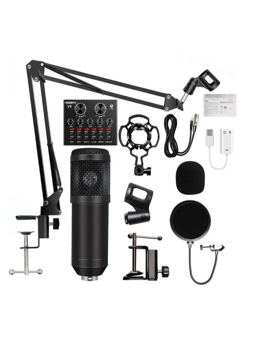 BM-800 + V8S Wired Microphone Studio Recording Broadcasting Set
