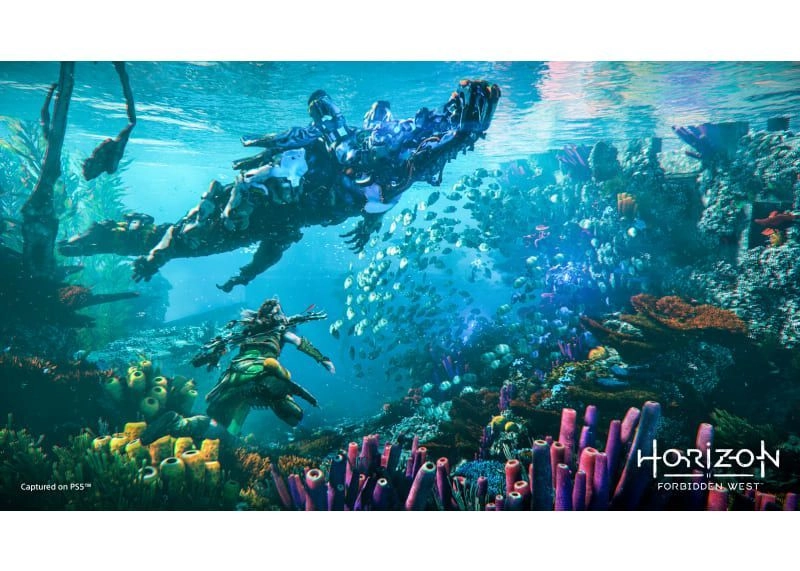 Horizon Forbidden West Special Edition - PlayStation 5